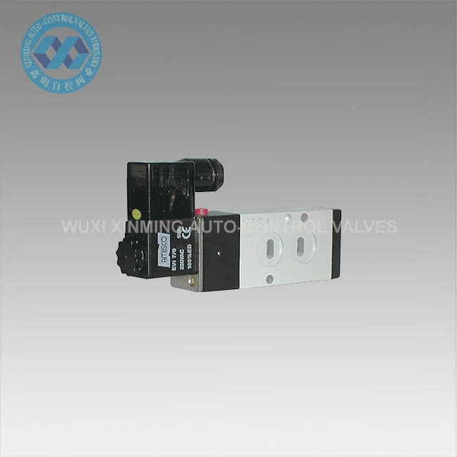 110V সোলেনয়েড ভালভ